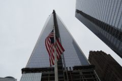 IMG_0352-768x576