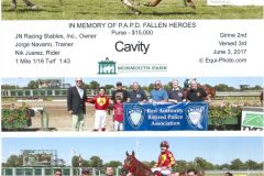 2017-Day-@-The-Races-1-768x959