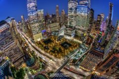 11-4-2020-wtc-site-fish-night-hdS-xt-004-768x512