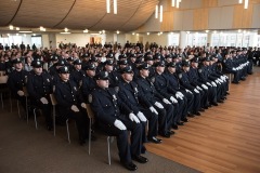 papdgrad17
